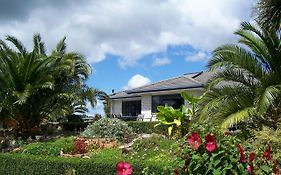 Dhomestay Bed And Breakfast